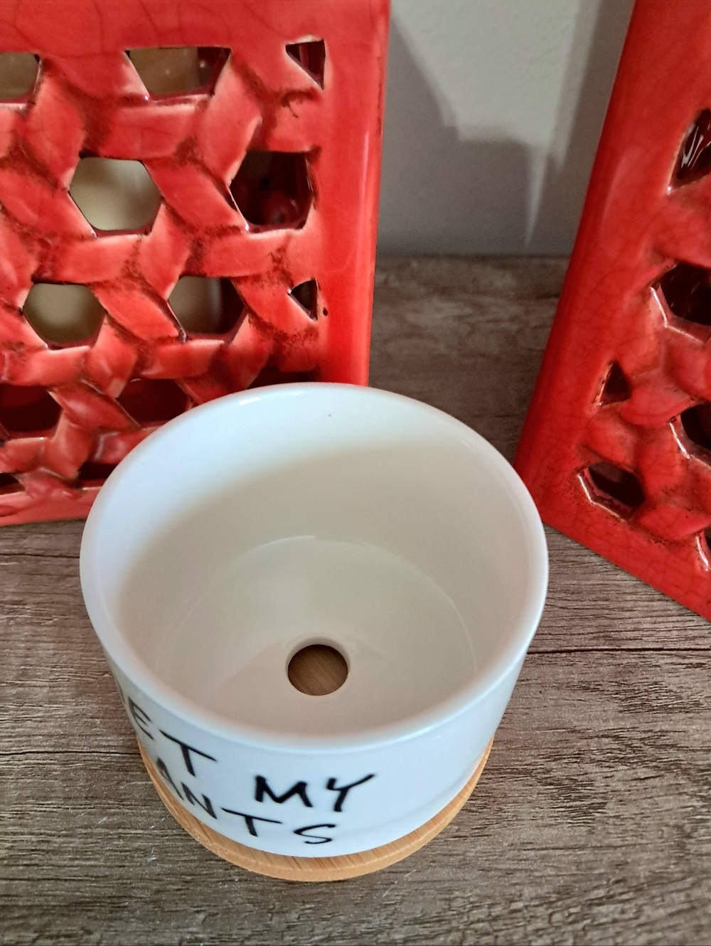 I Wet My Plants Ceramic Planter with Bamboo Tray - Picture 3 of 3